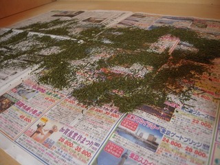 2012-11-15No(008).jpg